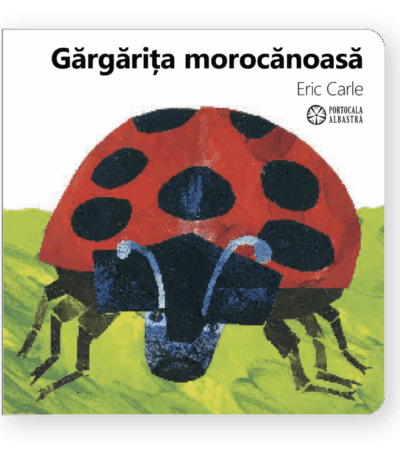 Gărgărița morocănoasă