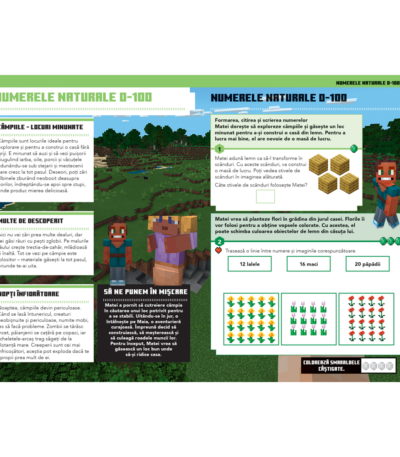 Minecraft - Caiet de matematica 7-8 ani