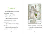 Broscoi și Brotac sunt prieteni - imagine 2