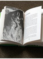 Cum să-ți dresezi dragonul #4. Cum să păcălești blestemul unui dragon - imagine 6