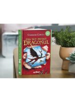 Cum să-ți dresezi dragonul - imagine 7