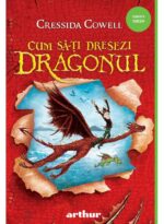 Cum să-ți dresezi dragonul - imagine 2