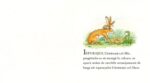 Ghici cât de mult te iubesc - ediția cartonată integral - imagine 5