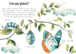 Fluturii - Puzzle magic de colorat cu apă - imagine 4